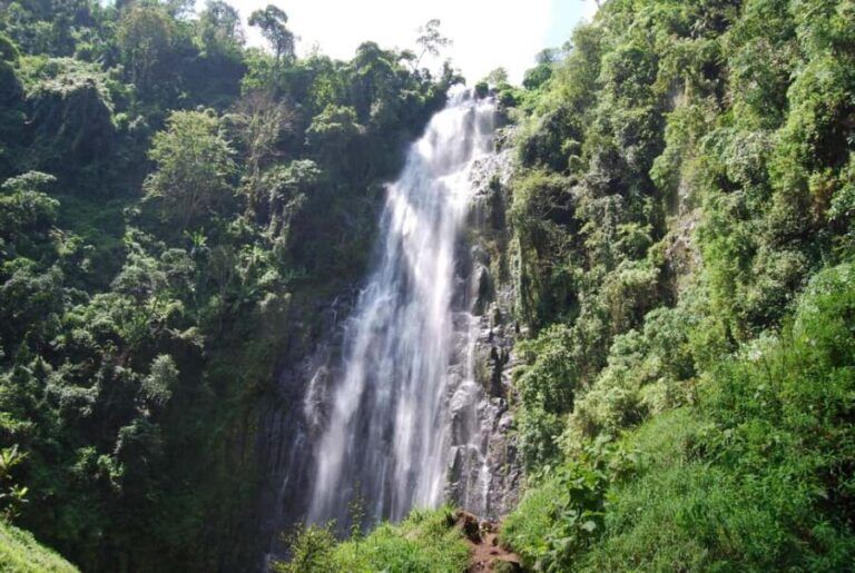 Materuni Waterfalls, Coffee & Hot Springs Day Tour - What’s Included and What’s Not?