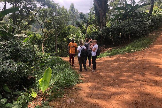 Materuni Waterfalls - Why This Tour Is a Great Fit