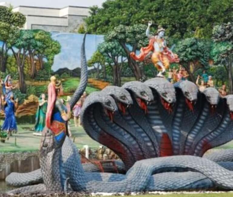 Mathura Vrindavan Tour With Nidhivan Temple - Delhi/Agra - Transport, Timing, and Group Size