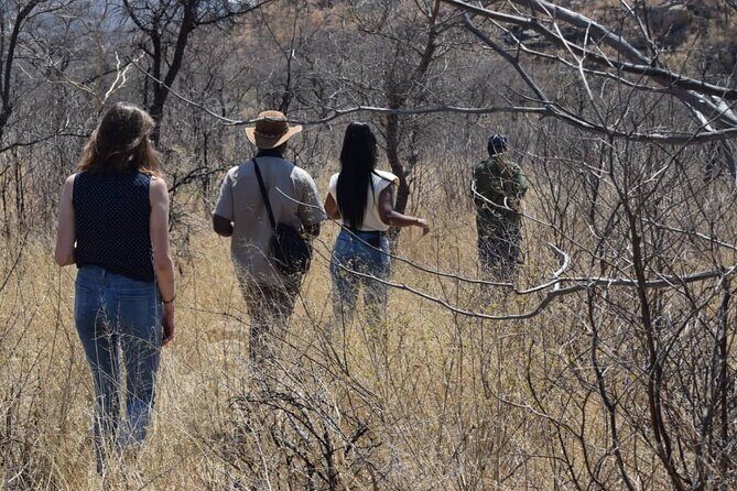Matobo Rhino Encounter - Who Would Love This Tour?
