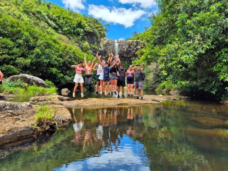 Mauritius-7 waterfalls short loop - Who Should Consider This Tour?