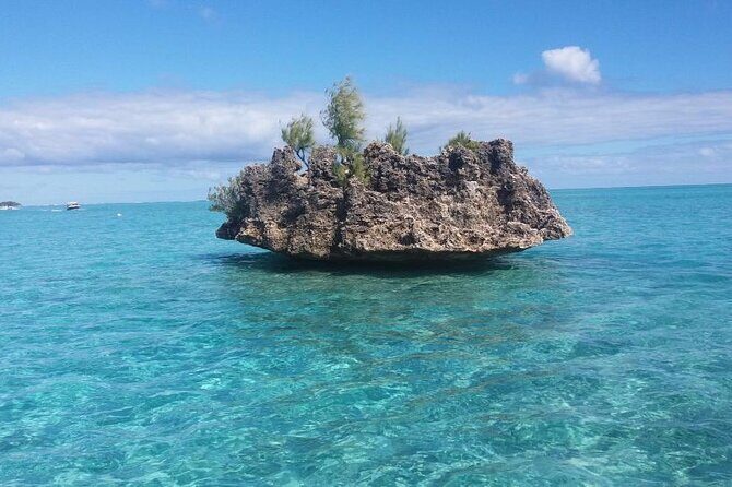 Mauritius : Dolphins Swim and Ile Aux Bénitiers with BBQ - What Travelers Say