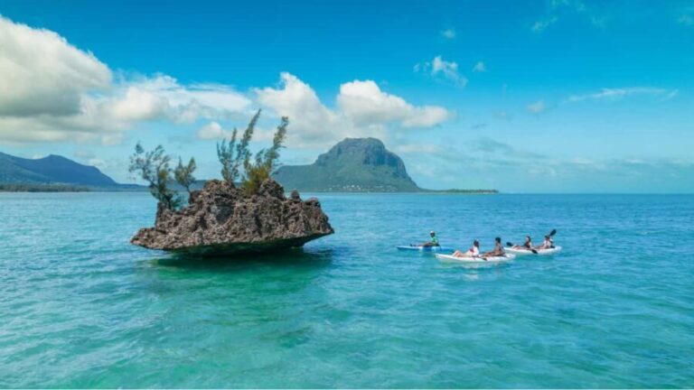 Mauritius: Guided Kayak tour to Benitiers Island - What to Expect from the Tour