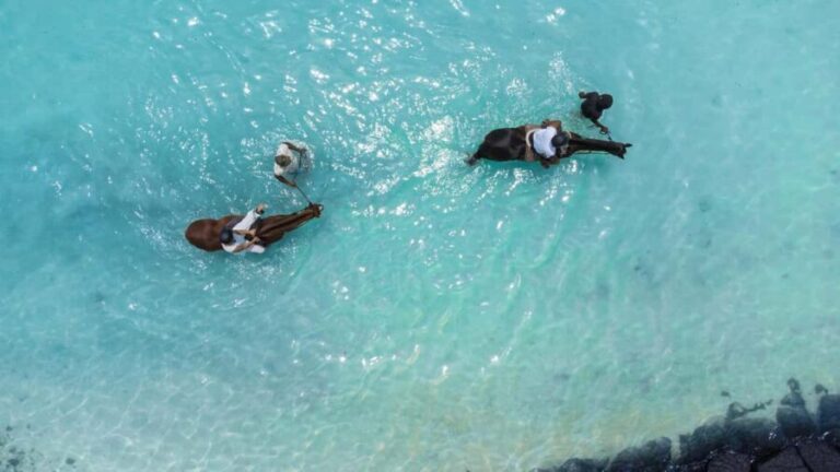 Mauritius: Horseback riding on the beach - An In-Depth Look at the Experience