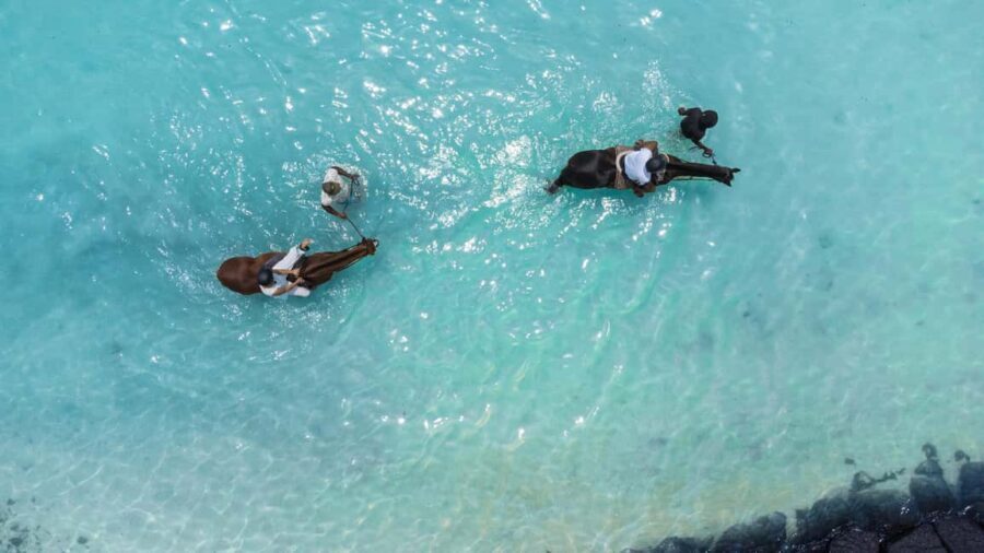 Mauritius: Horseback riding on the beach