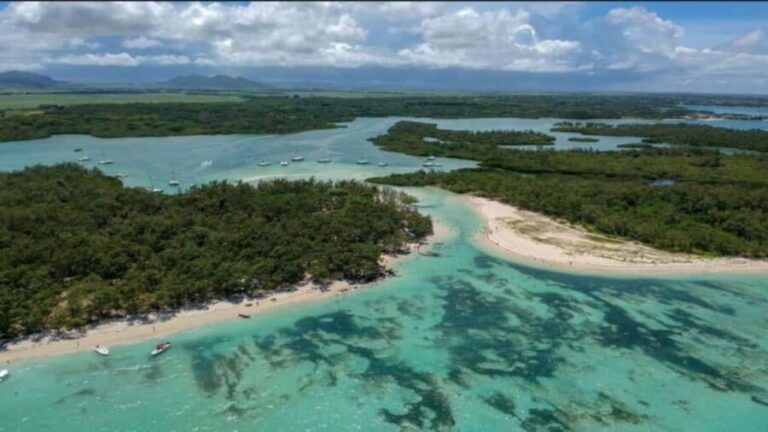 Mauritius: Ile Aux Cerfs catamaran cruise Lunch with BBQ - Who Will Love This Experience?