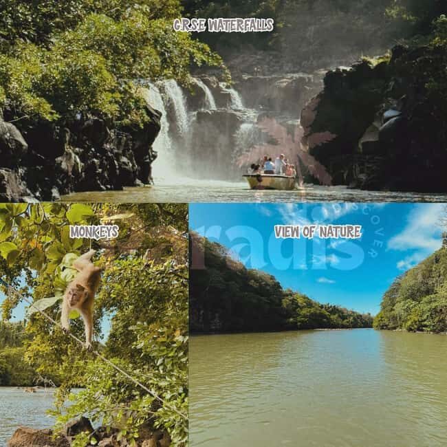 Mauritius: Ile aux Cerfs Speedboat Tour with Lunch & Drinks - An Overview of the Tour Experience