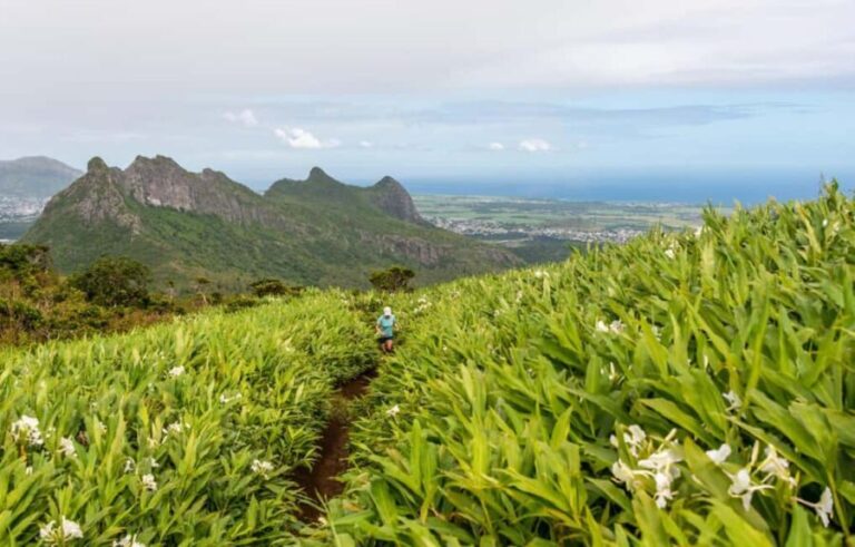 Mauritius: Le Pouce Guided Hiking Experience with a local - The Value of the Experience