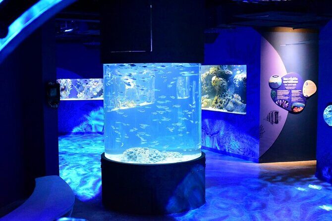 Mauritius Odysseo Oceanarium in Port Louis - The Sum Up