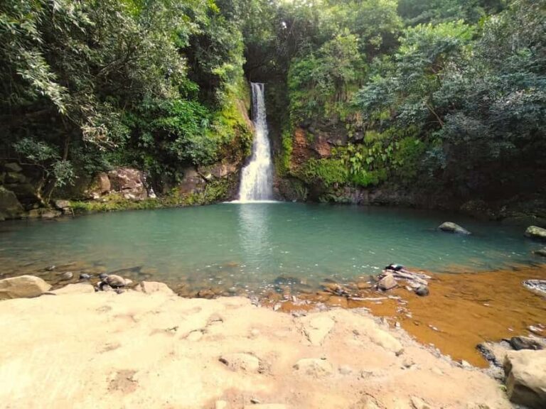 Mauritius: Private South Day Tour with Hotel Transfer - The Value of a Guided Private Tour