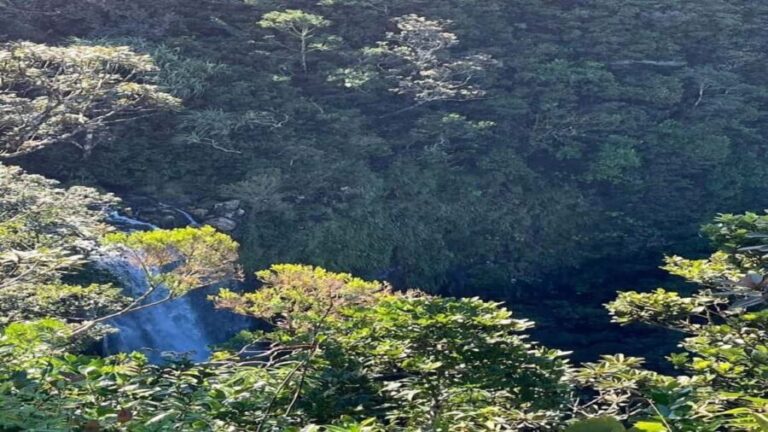 Mauritius: private southwest tour - What Makes This Tour Stand Out?