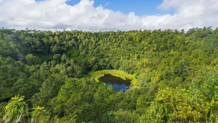 Mauritius: Private Southwest Tour with Pickup - Authentic Experiences and Practical Insights