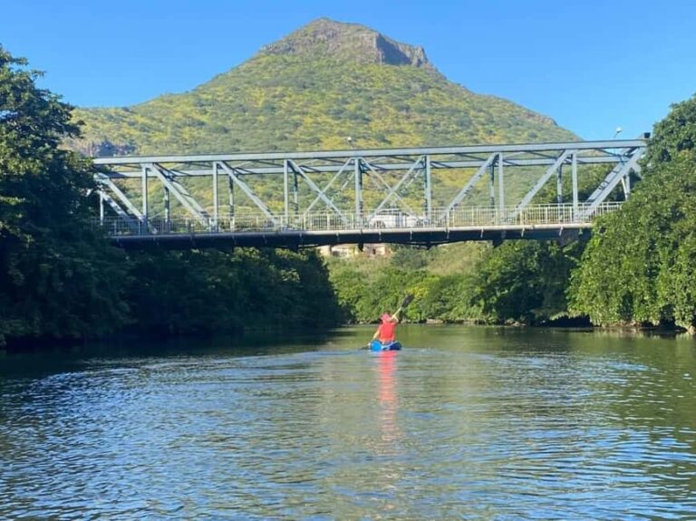 Mauritius: River Guided Kayak Tour with Monkeys - Authentic Encounters and Travel Tips