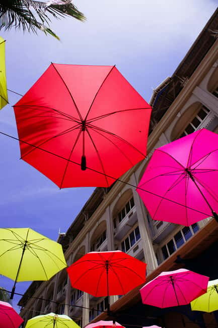 Mauritius: Snorkeling with Turtles & Port Louis Street Food - Transportation, Timing, and Group Size