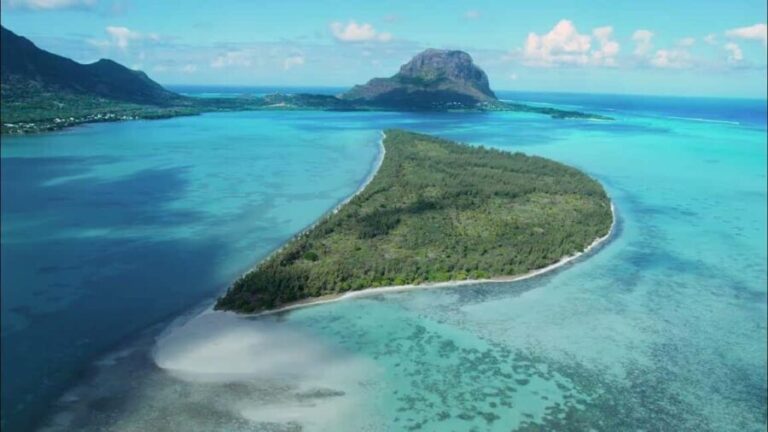 Mauritius: Swim with Dolphins Full-Day with Lunch/Drinks - What Makes This Tour Stand Out?