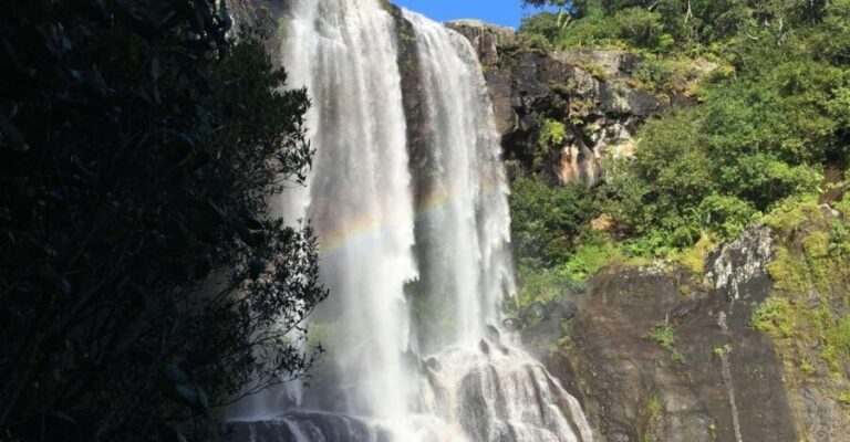 Mauritius: Tamarind Falls Guided Hike with Swimming - Value and Overall Impression