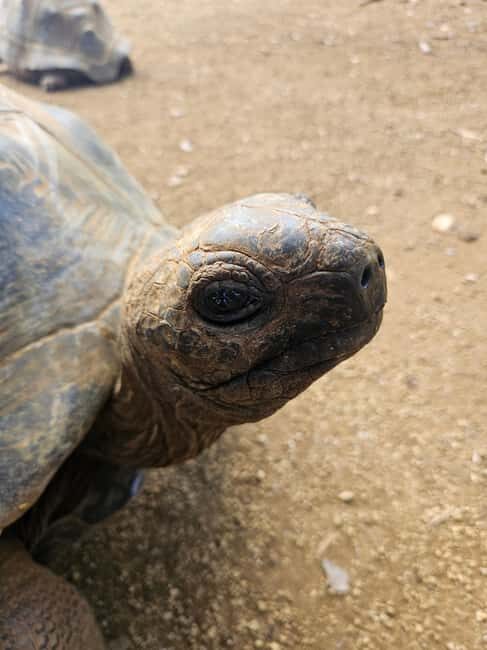 Mauritius: Vanilla Park & Beaches Tour with Extra Option - Final Thoughts