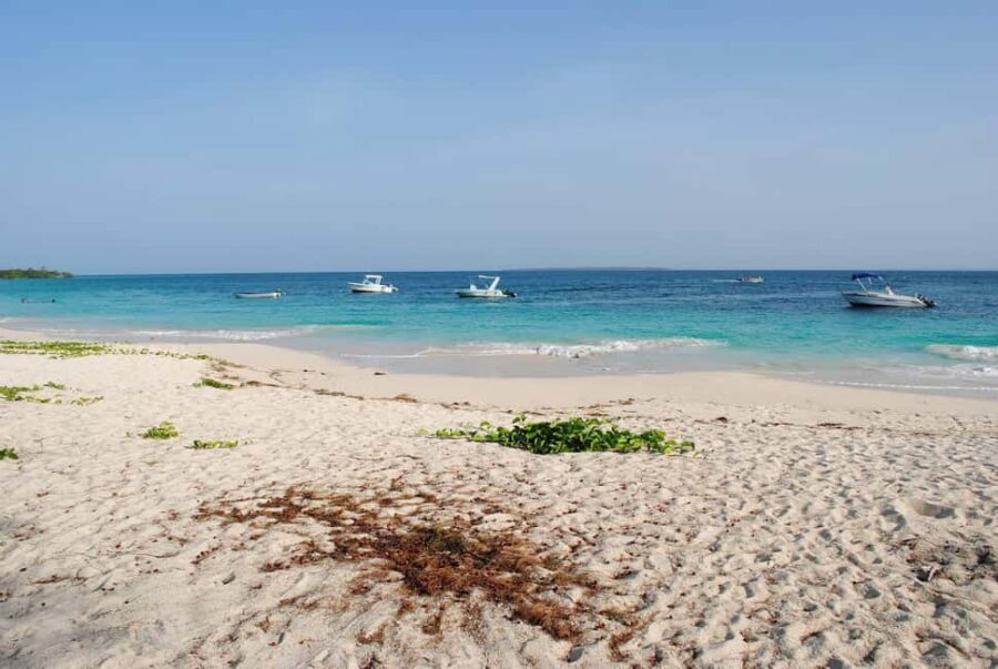 Mbudya Island: Private Tour Day Trip from Dar es salaam - The Itinerary: What to Expect on Your Day Trip