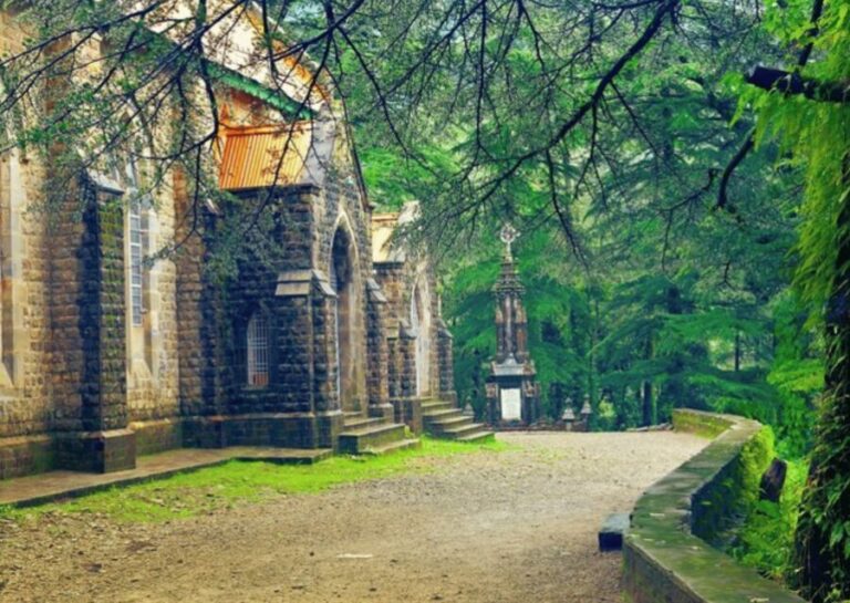 Mcleodganj Nature Trek (3 Hours Guided Walking Tour) - Who Will Love This Tour?