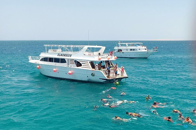 Meet the dolphins in snorkeling tour - The Experience in Review: Pros and Cons