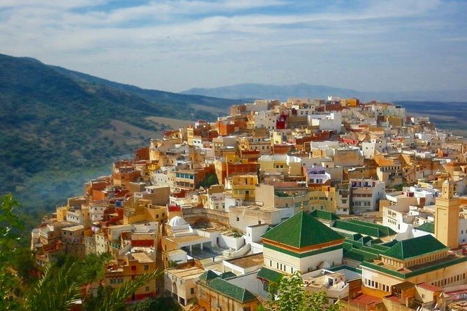 Meknes and Volubilis Day Trip from Fez - Exploring Meknes: Imperial Grandeur & Local Life