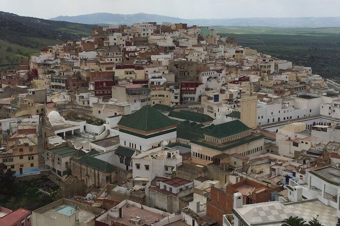 Meknes and Volubilis Full-Day Tour from Fez - Authentic Experiences and Genuine Value