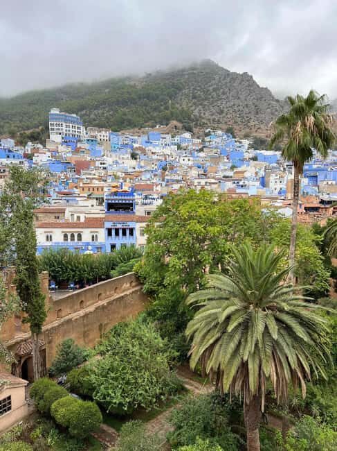 Meknes: Day Trip to Chefchaouen with a Stop at Volubilis - What to Expect and What Not to Expect