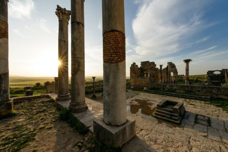 Meknes & Volubilis: Full-Day Trip from Fez - Who Should Consider This Tour?