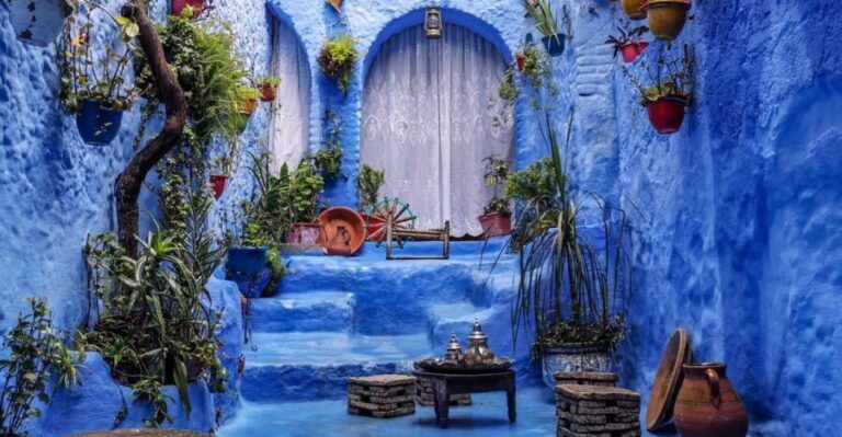 Memorable Day Trip From Fez to Chefchaouen the Blue City - The Practicalities: What’s Included and What’s Not