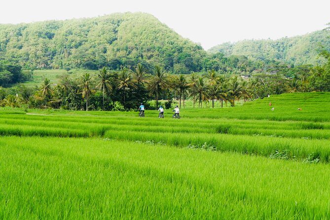 Menoreh Village Cycling - Nanggulan - An In-Depth Look at the Tour Itinerary