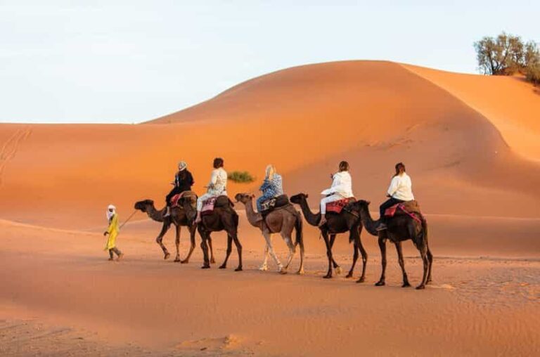 Merzouga: 1-Night in the luxury camp. camel ride & Dinner - Key Points