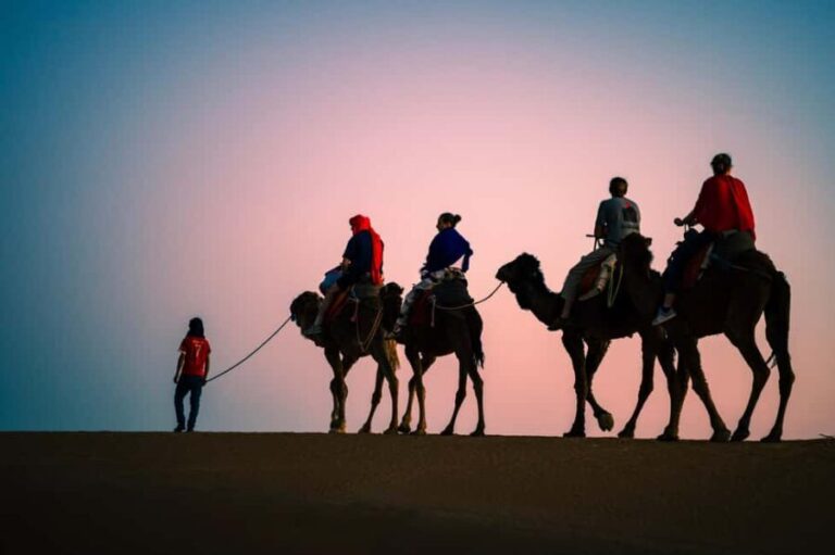 Merzouga: 1-Night Luxury Camp with Camel Ride & Meal - What’s Included, What’s Not