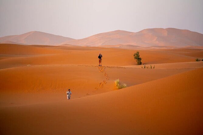 Merzouga Sahara Desert 2 Days Trip from Ouarzazate. - Nkob — The Village of 45 Kasbahs