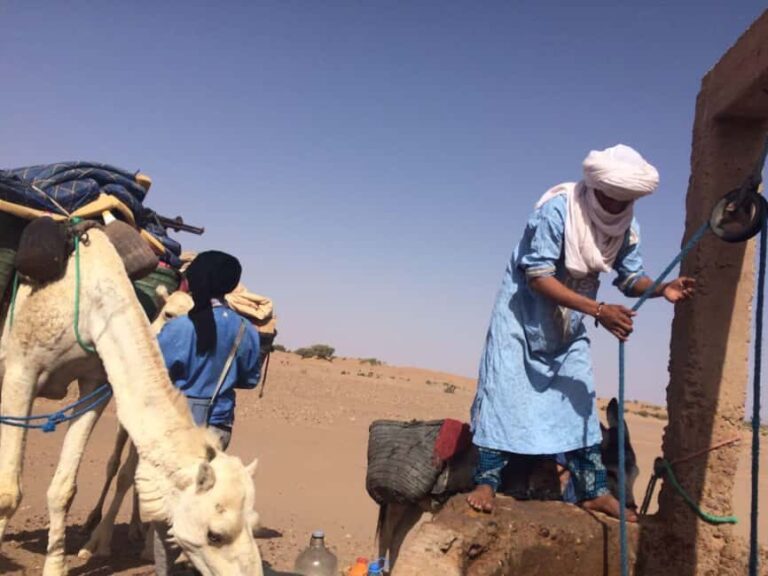 Mhamid: Experience the Route of old Caravans in the Sahara - What Makes This Tour Stand Out?