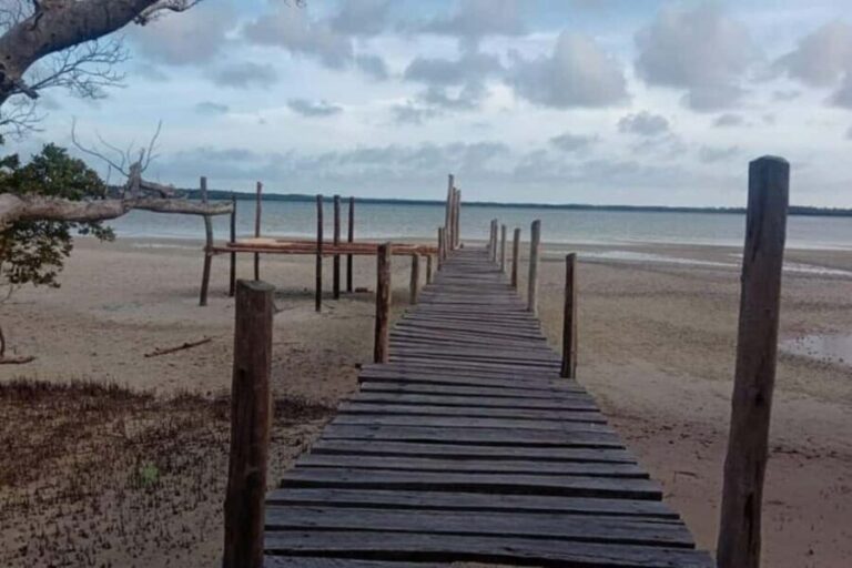 Mida Creek: Mangrove Forest and Lagoon Guided Tour Malindi - What to Expect During Your Tour