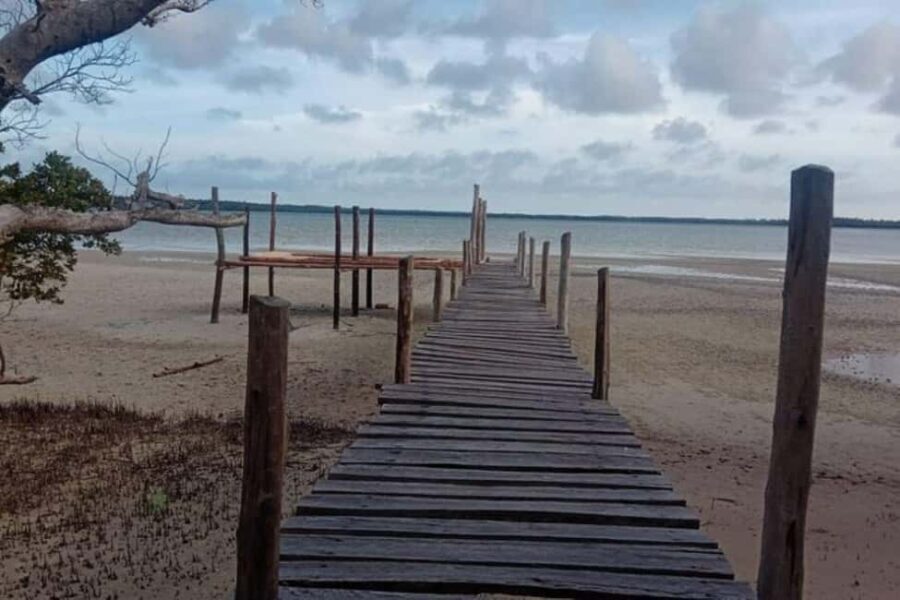 Mida Creek: Mangrove Forest and Lagoon Guided Tour Malindi - What to Expect During Your Tour