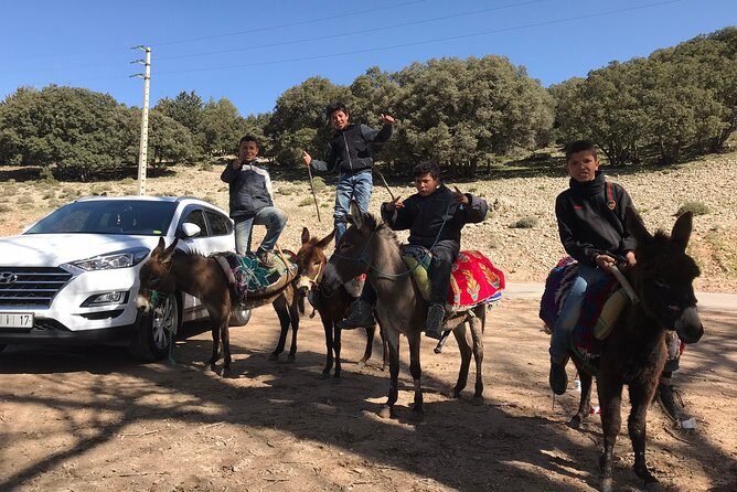 Middle Atlas , Cedar Forest and Azrou Day Trip from Fez - What Travelers Say
