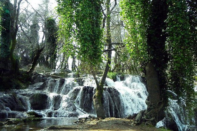 Middle Atlas day Trip from Fez - Exploring the Middle Atlas: What You Can Expect