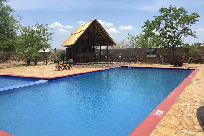 Mikumi National Park 2 Days/ 1 Night - What Travelers Say