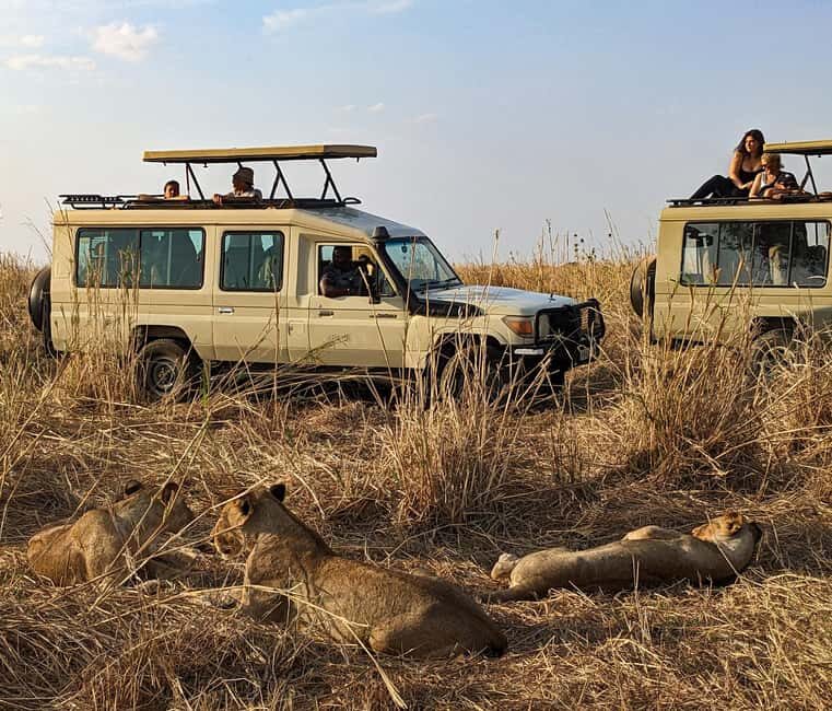 Mikumi National Park: Guided Safari Tour - The Wildlife – Real Encounters in a Peaceful Setting