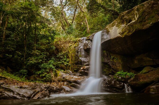 Mikumi National Park & Udzungwa Water Falls 3 Days Group Tour - Final Thoughts: Who Is This Tour Best For?