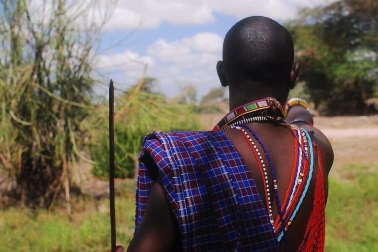 Mikumi NP safari & Maasai village & sunset: 2 days 1 night - The Detailed Journey Through Mikumi