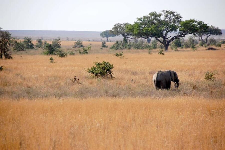 Mikumi Safari, Chizua Waterfalls & Maasai Village 3-Day Tour - Deep Dive into the Experience
