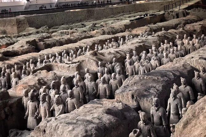 Mini Group: Daily VIP Xian Terracotta Warriors and City Discovery Tour - What Makes This Tour Stand Out