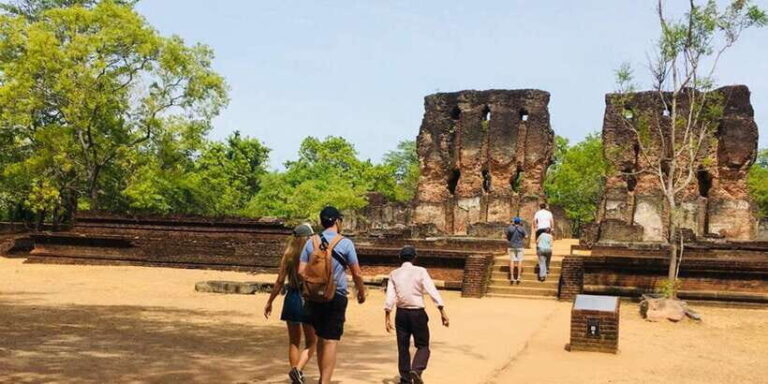Minneriya Elephant Safari & Polonnaruwa Ancient Place Tours - The Value of This Tour