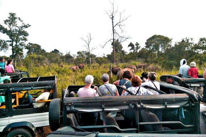 Minneriya / Kaudulla National Park Jeep Safari - Analyzing the Value: Price and Inclusions
