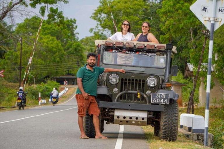 Minneriya National Park: Half-Day Evening Jeep Safari - The Itinerary in Detail