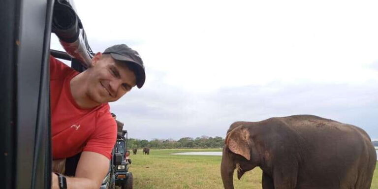 Minneriya: National Park Jeep Safari from Sigiriya/Dambulla - Detailed Breakdown of the Itinerary