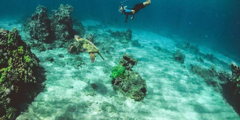 Mirissa: Snorkeling Experience with Turtles - The Sum Up