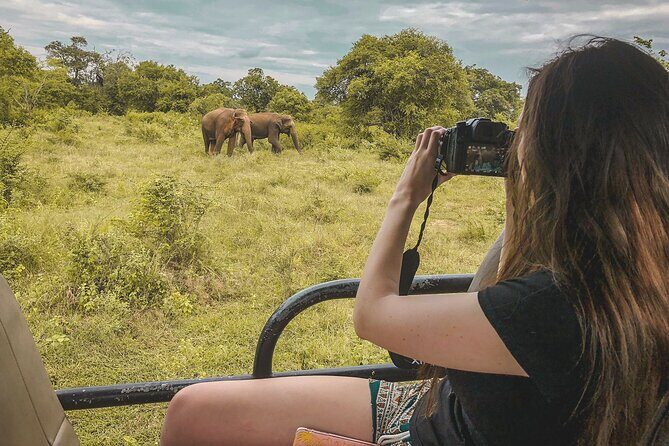 Mirissa to Ella Shuttle & Safari Drive (Breakfast included) - An In-Depth Look at the Mirissa to Ella Safari and Transfer